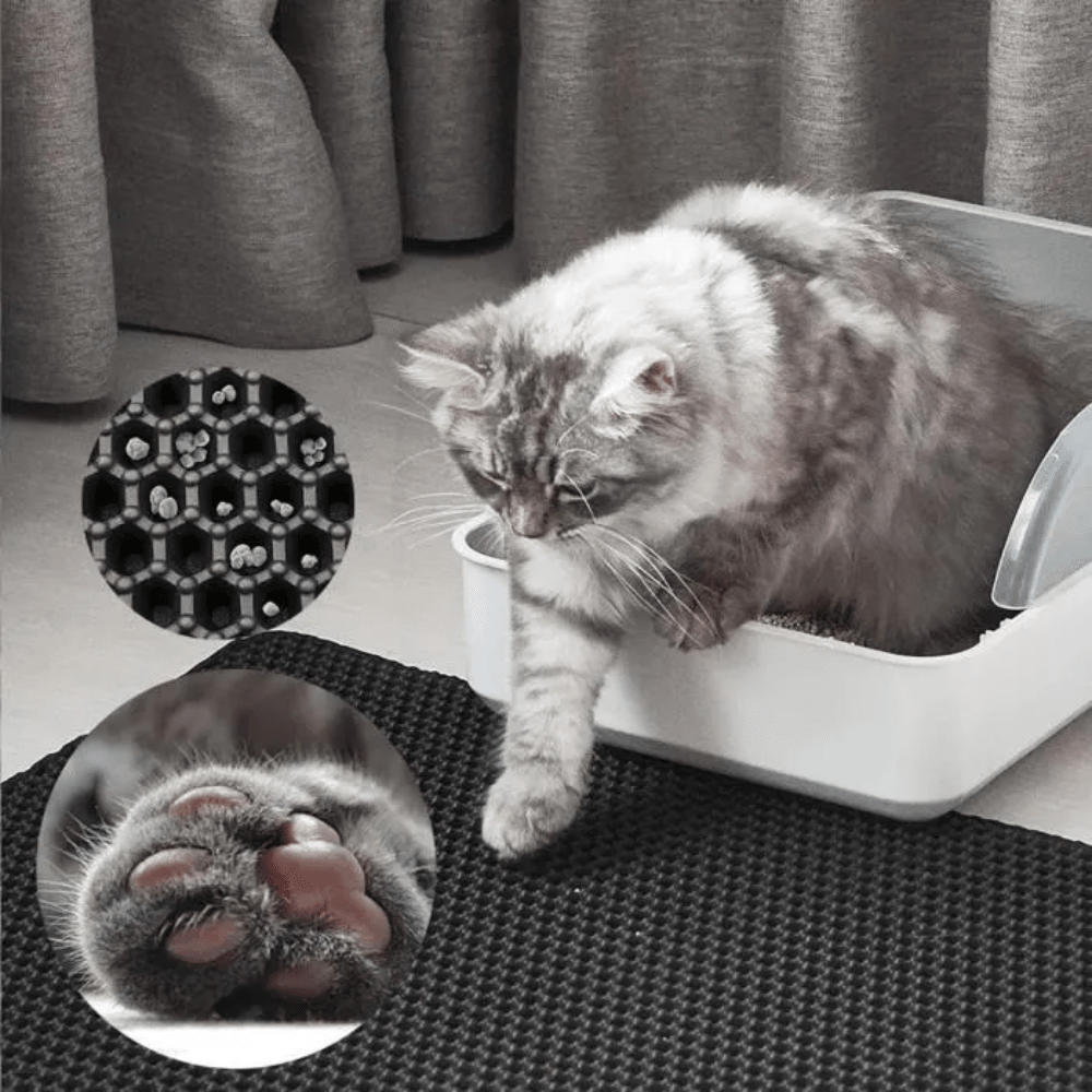 AbsorbiLitière