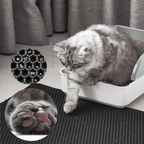 AbsorbiLitière